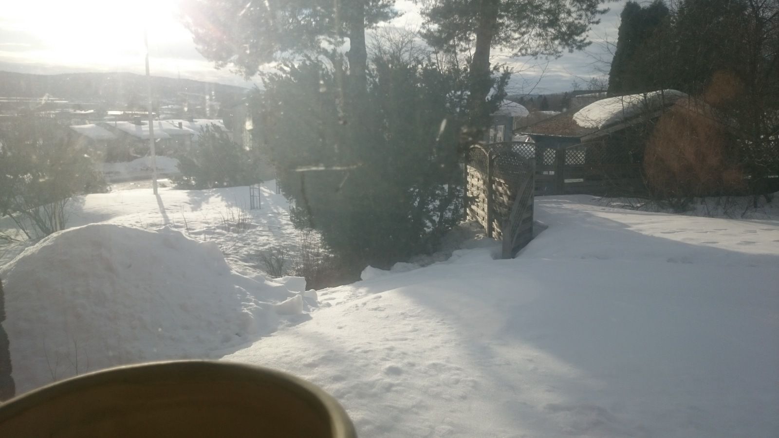 DSC_1434.JPG