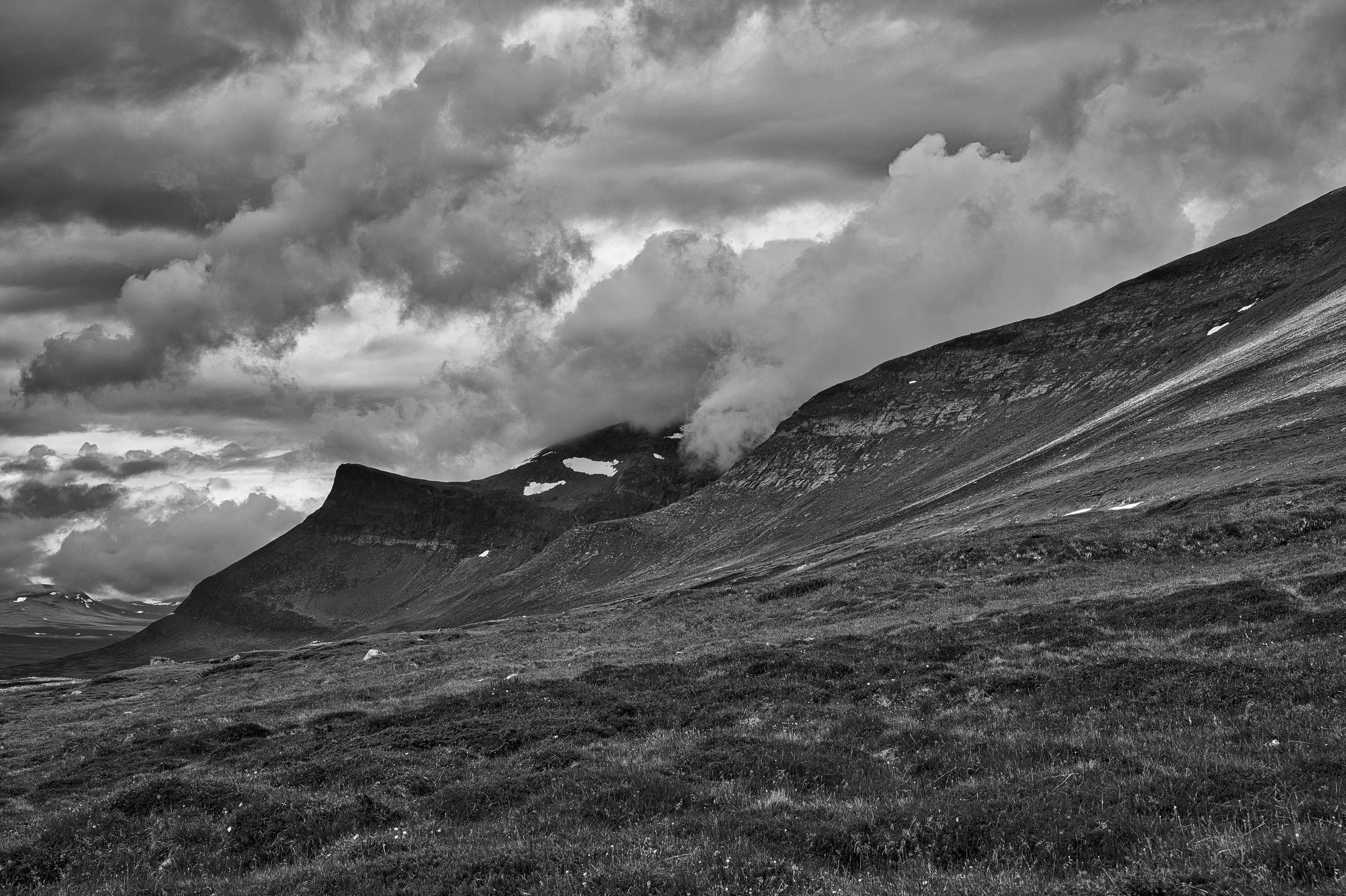 DSC_1443.jpeg