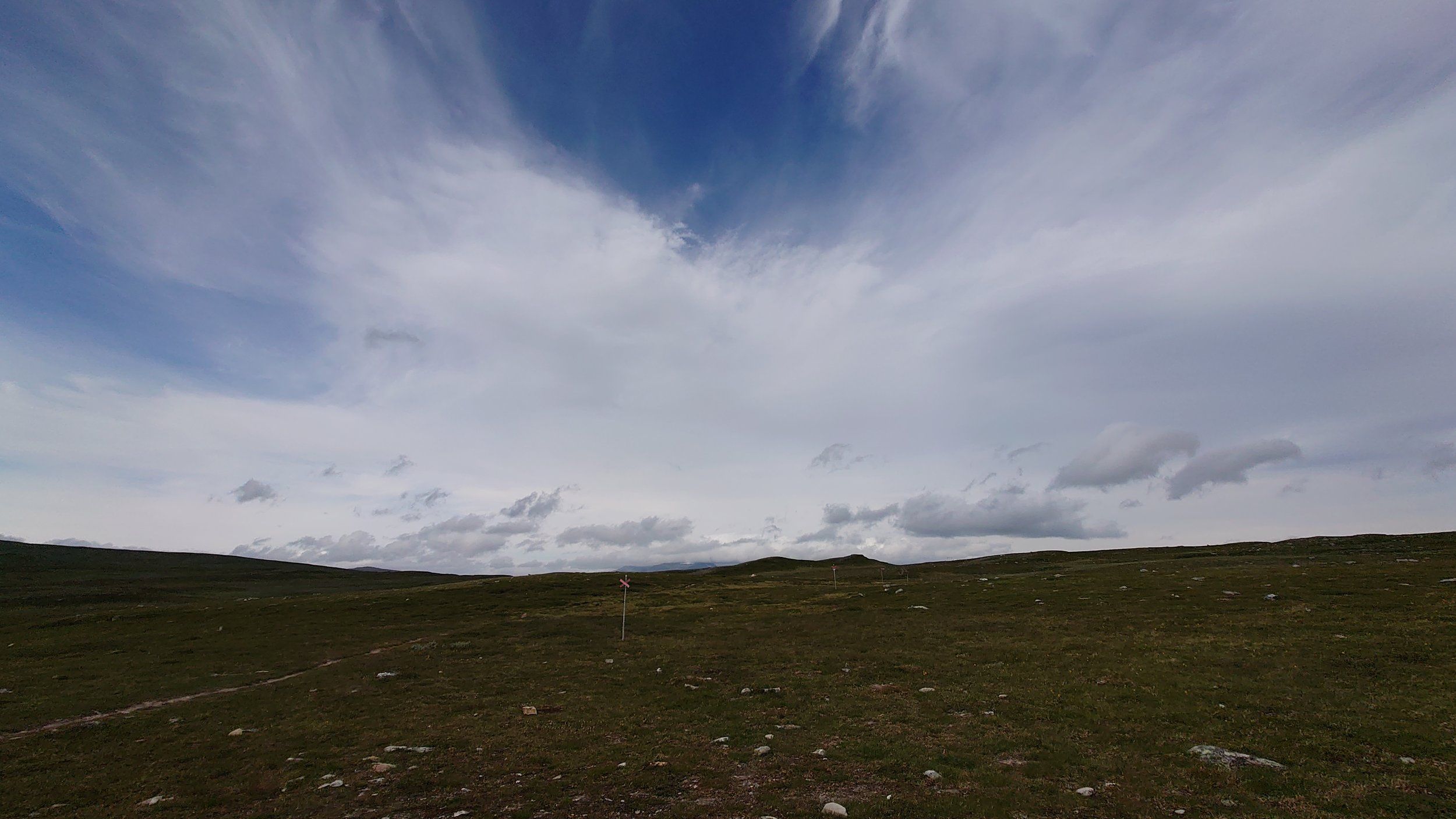 DSC_1453.JPG