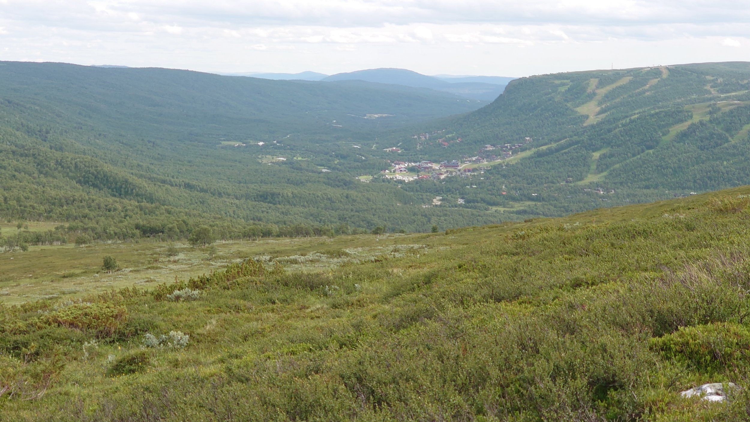 DSC_1457.JPG