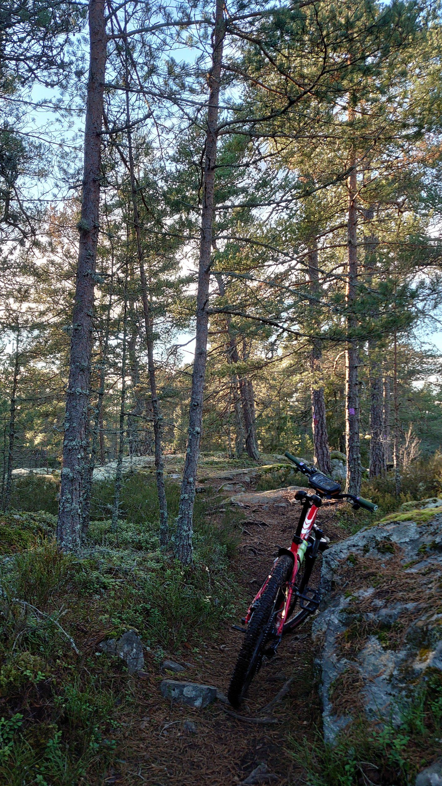 DSC_1481.JPG