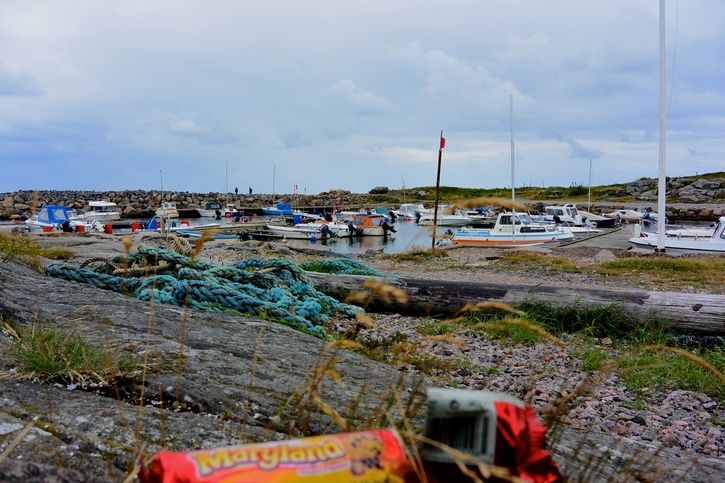 DSC_1527.jpg