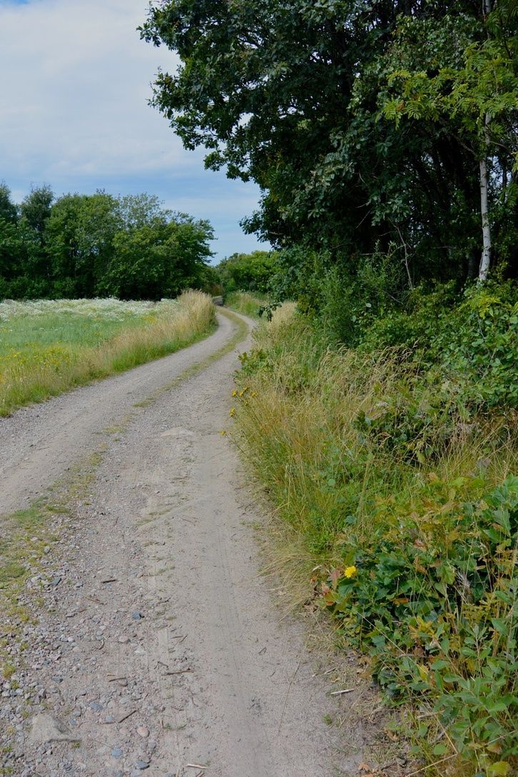 DSC_1536.jpg