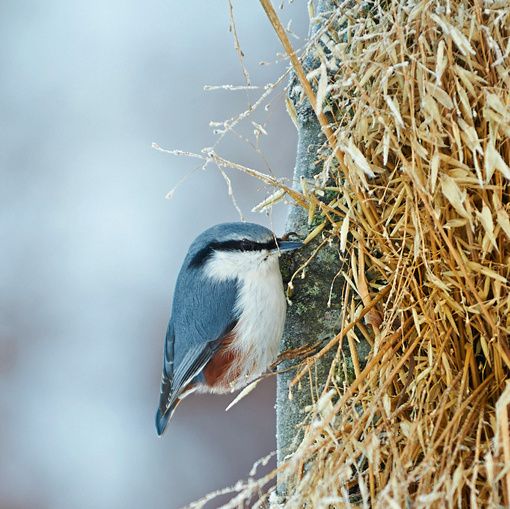 DSC_1547kopiera.jpg