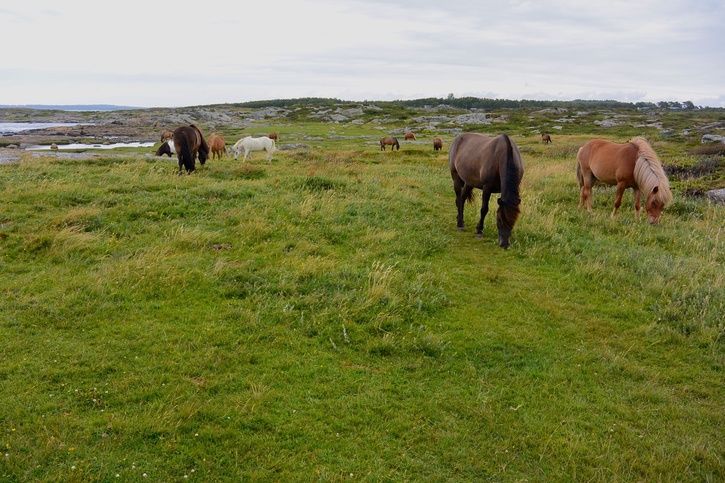 DSC_1553.jpg