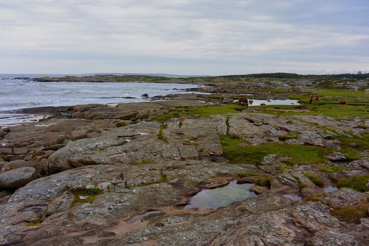 DSC_1555.jpg