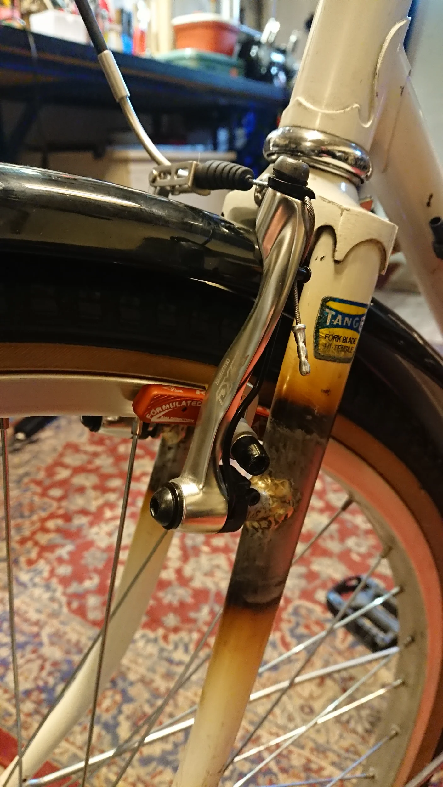 DSC_1560.webp