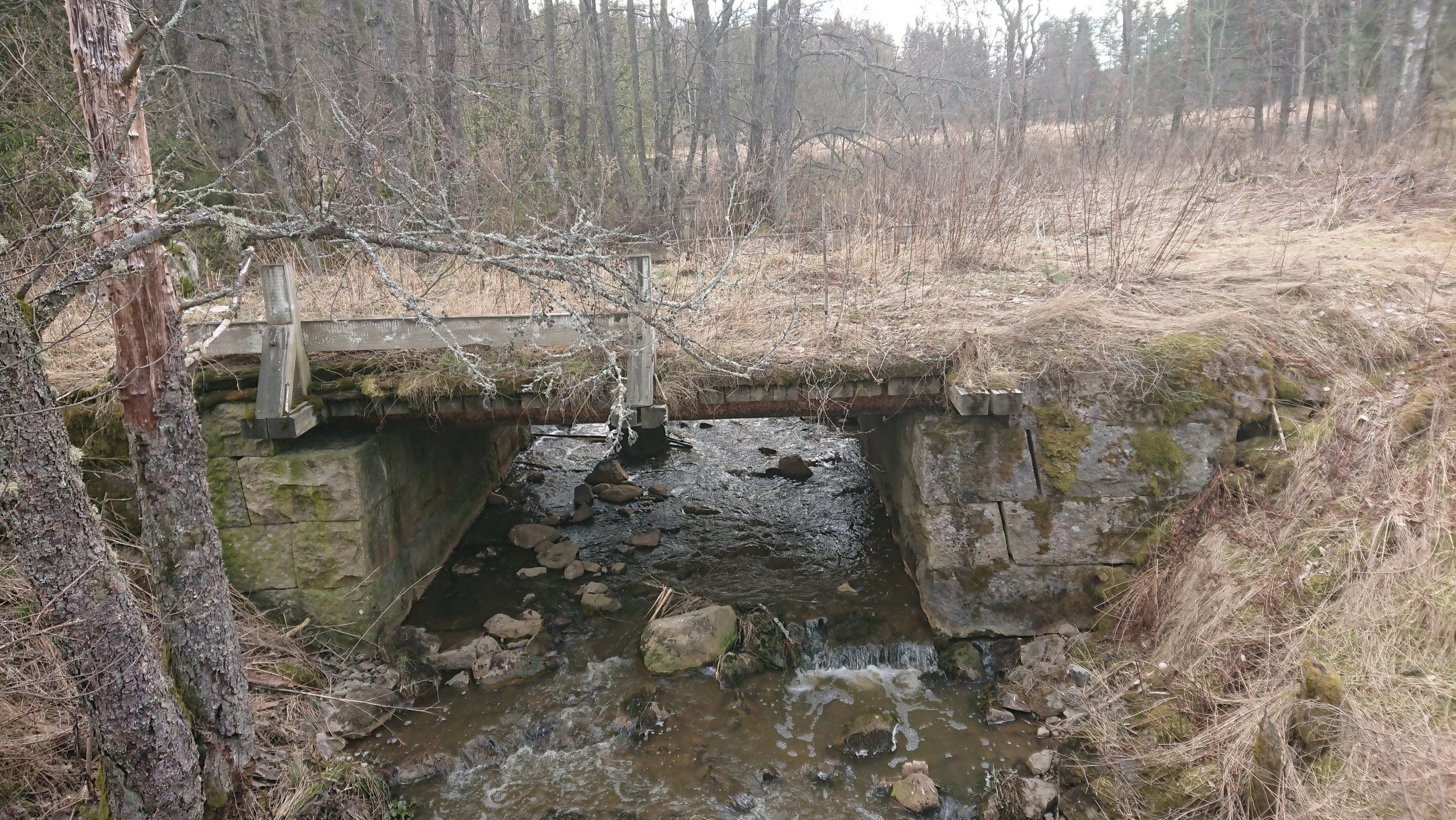 DSC_1617.JPG