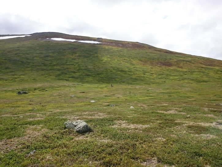 DSC_1621.JPG