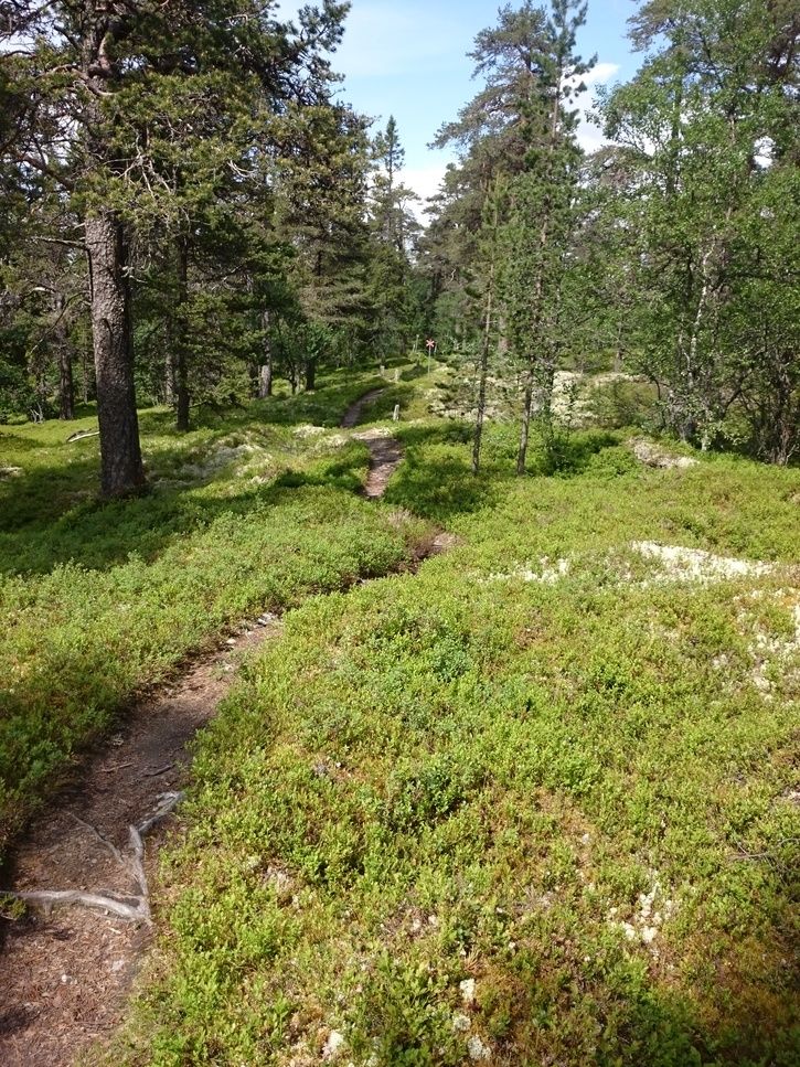 DSC_1626.JPG