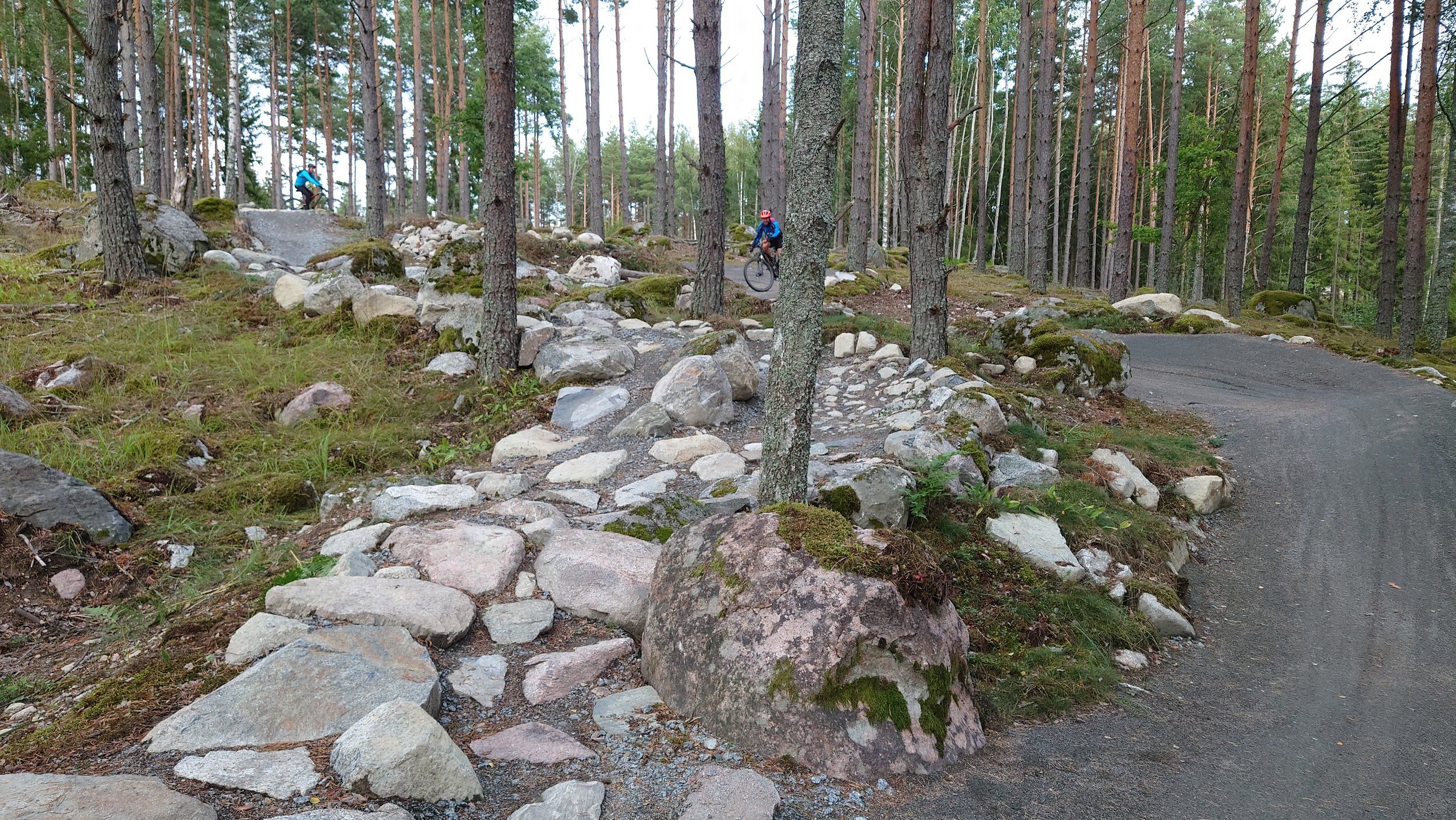 DSC_1679.JPG