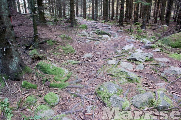 DSC_1769.jpg