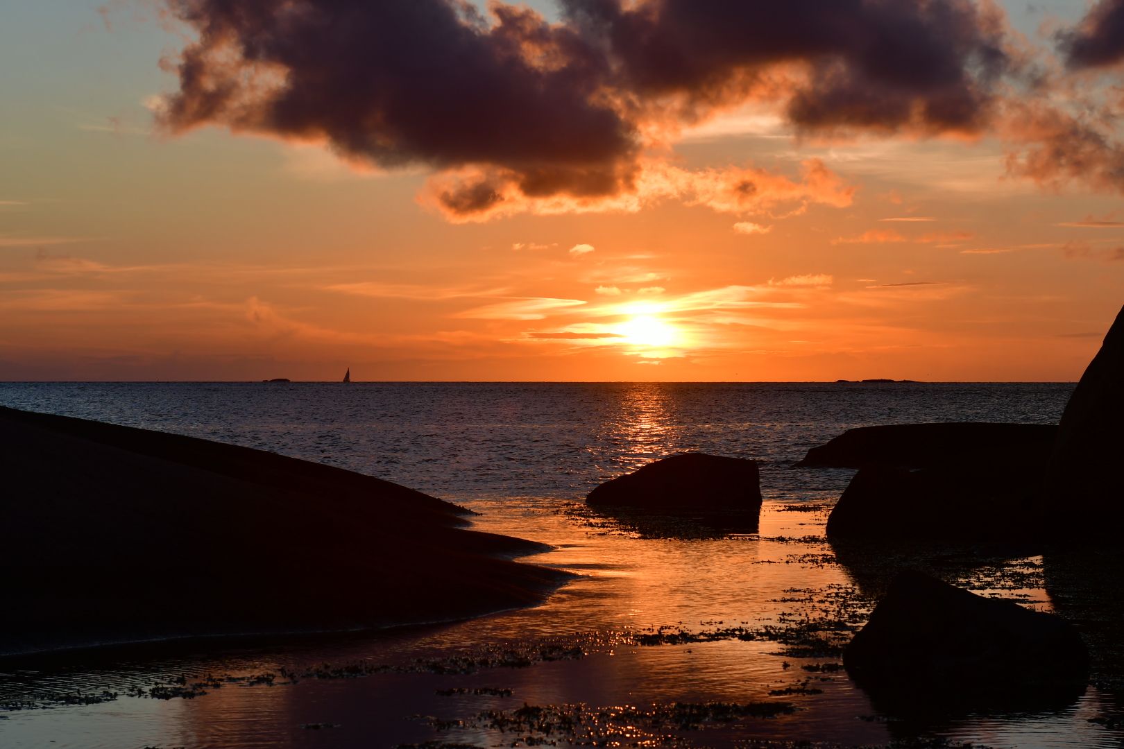 DSC_1893.JPG