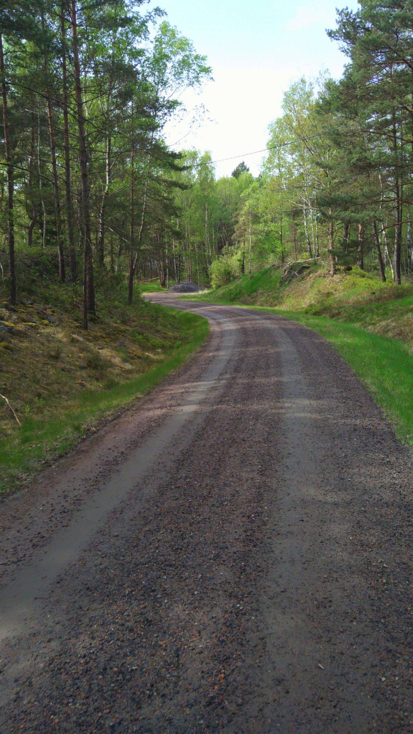 DSC_1950.JPG