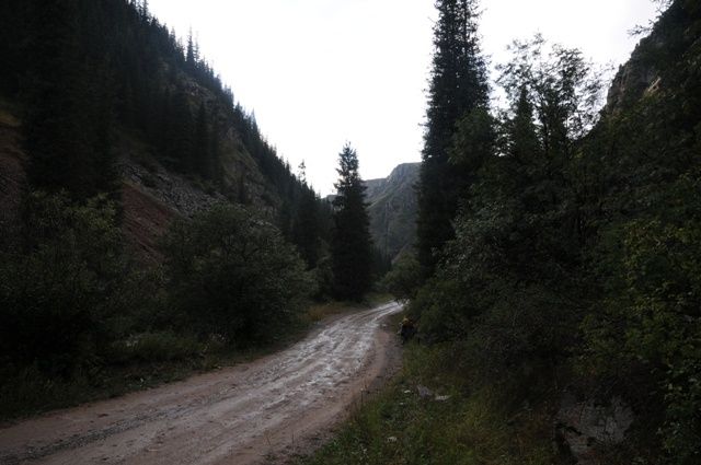 DSC_1983.JPG ht=425