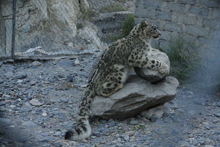DSC_1984.JPG