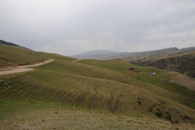 DSC_2015.JPG ht=425