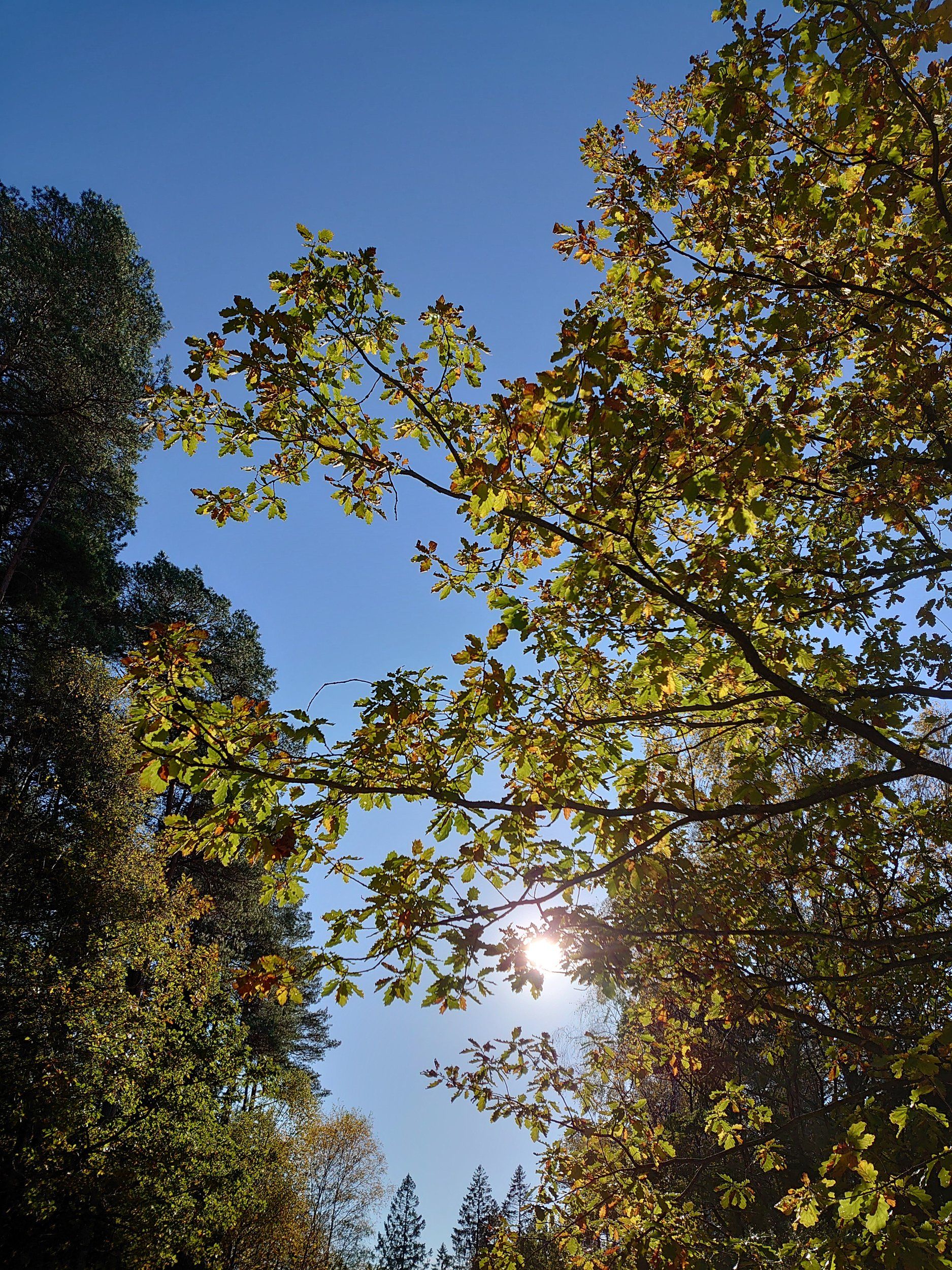 DSC_2042.JPG