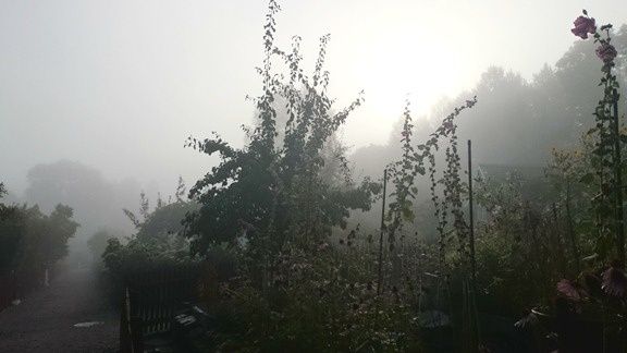 DSC_2146.JPG