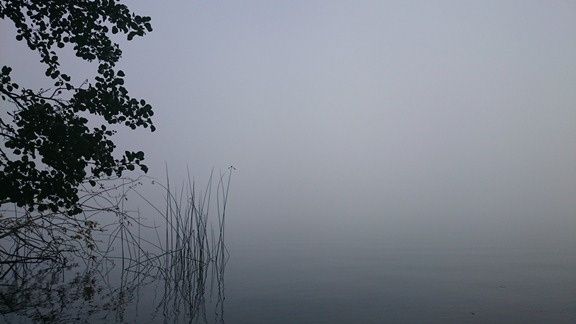 DSC_2150.JPG