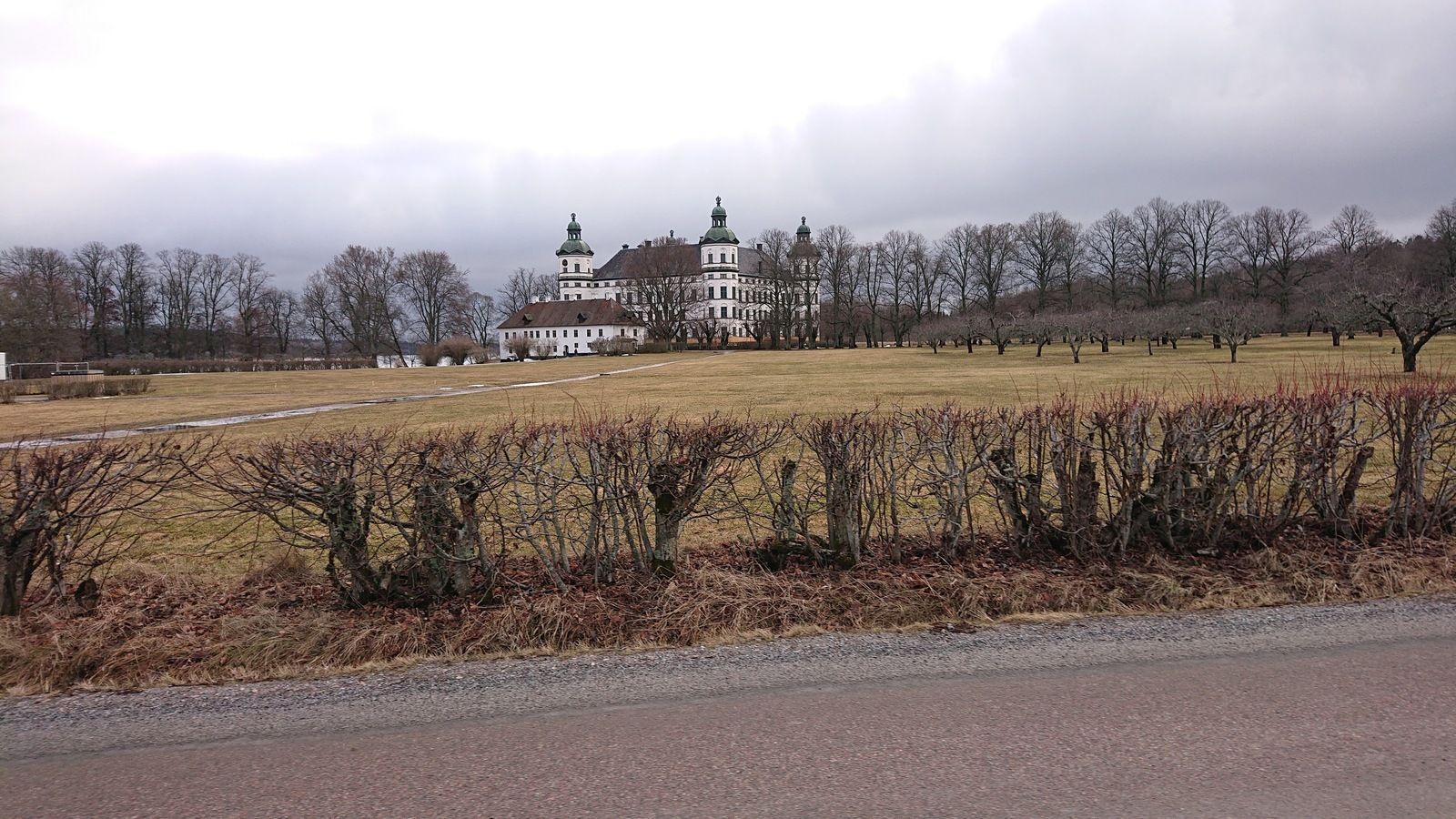 DSC_2187.JPG