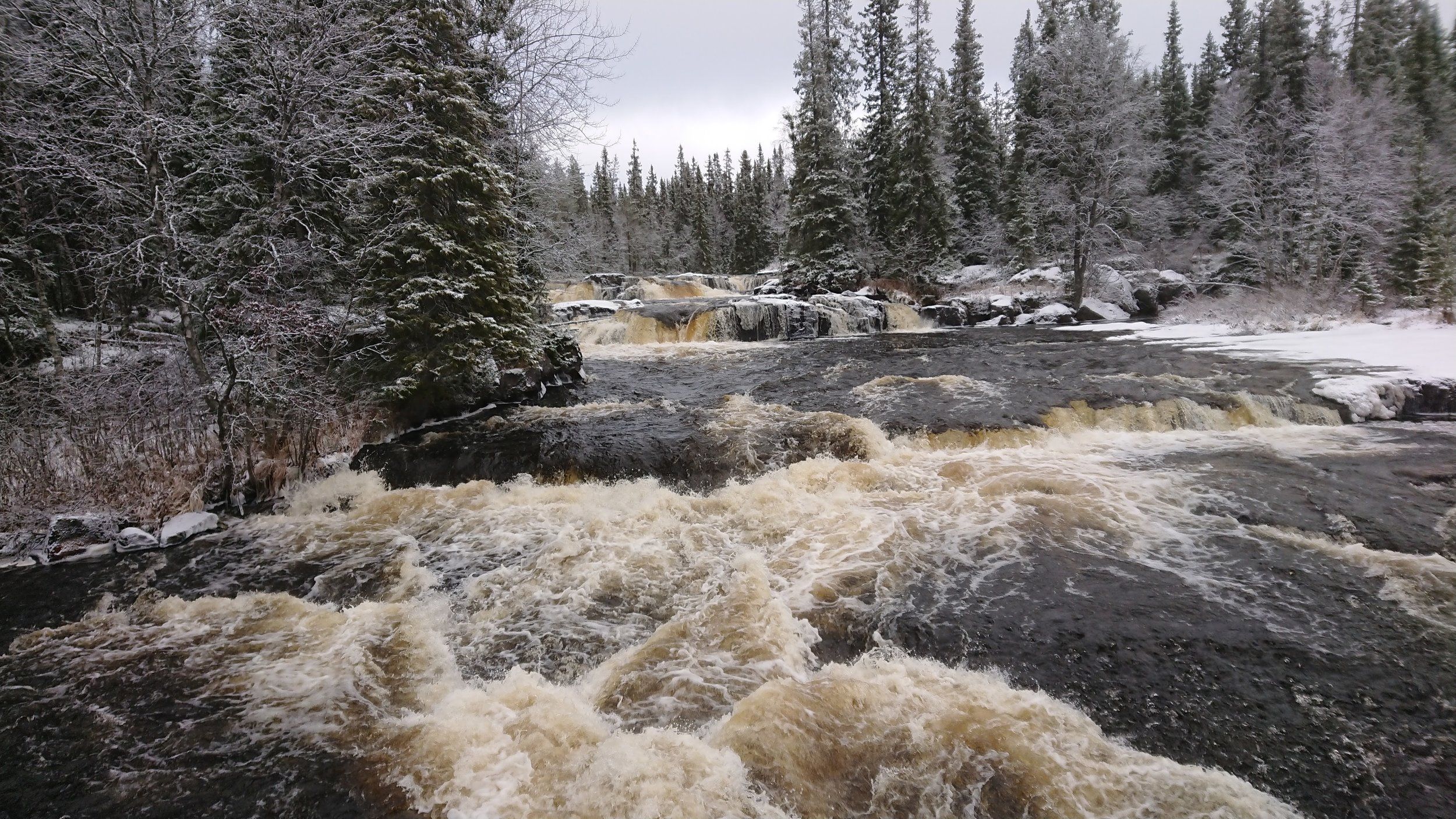 DSC_2210.JPG