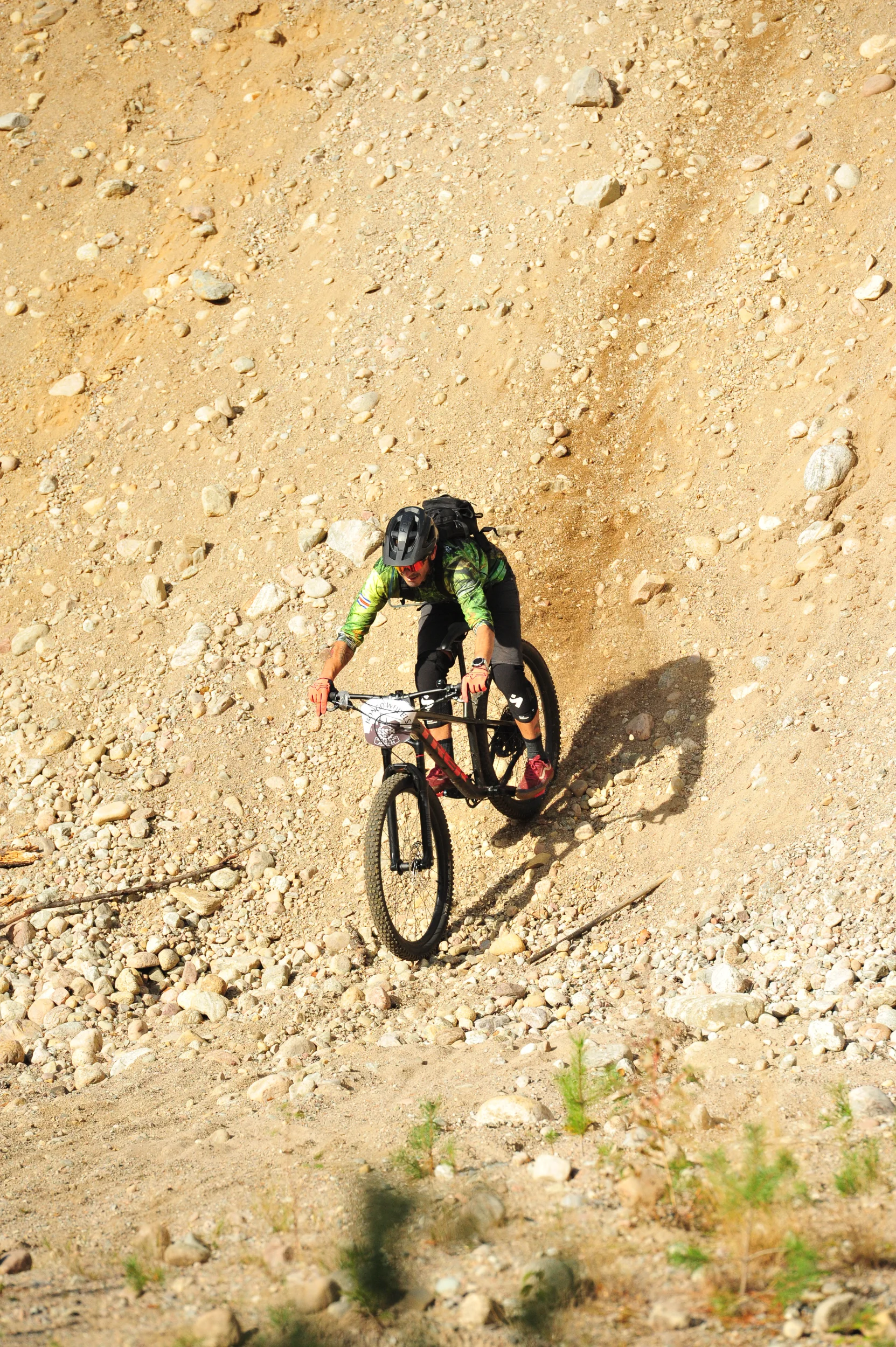 DSC_2226.webp