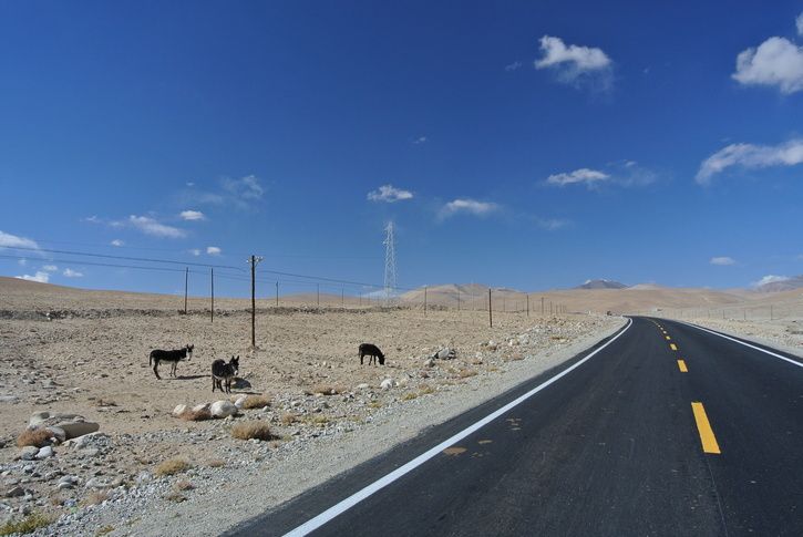 DSC_2255.JPG