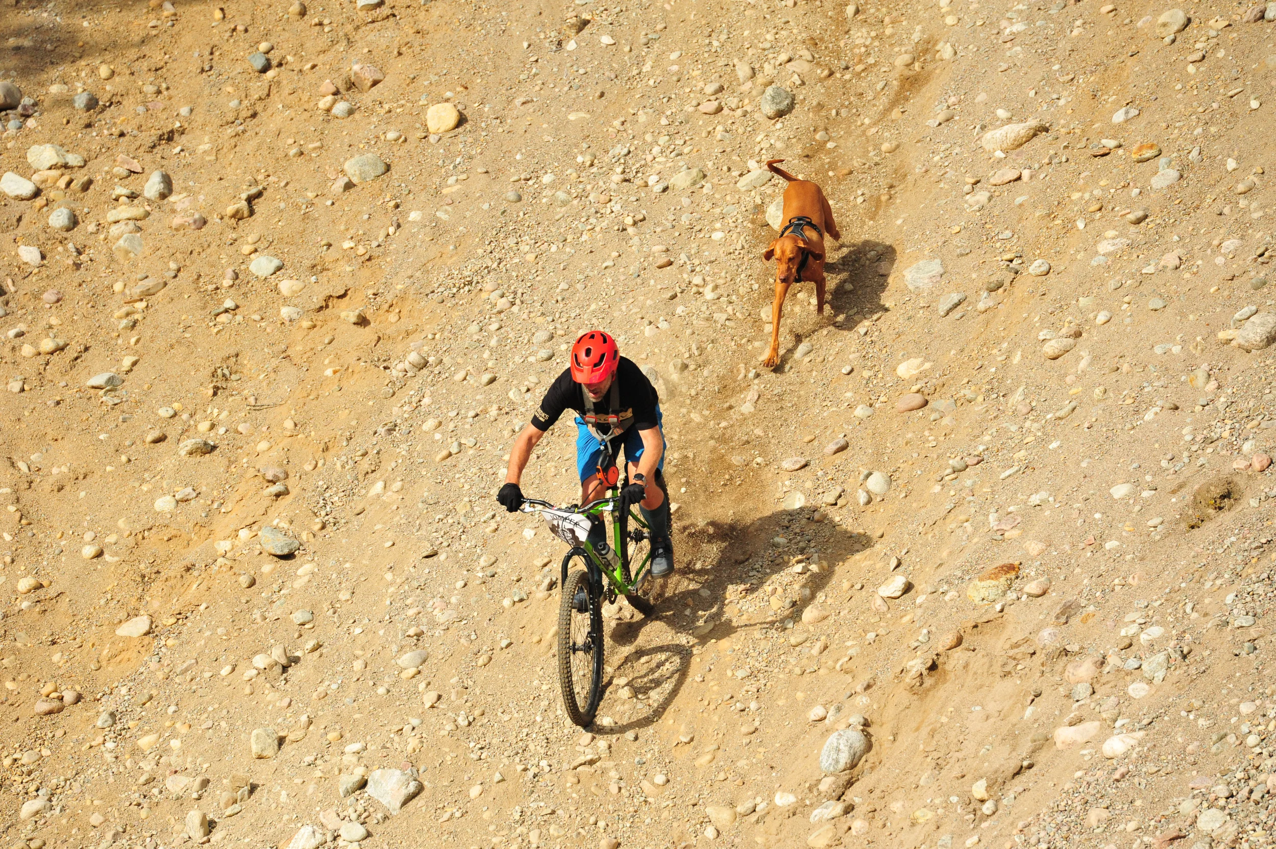 DSC_2286.webp