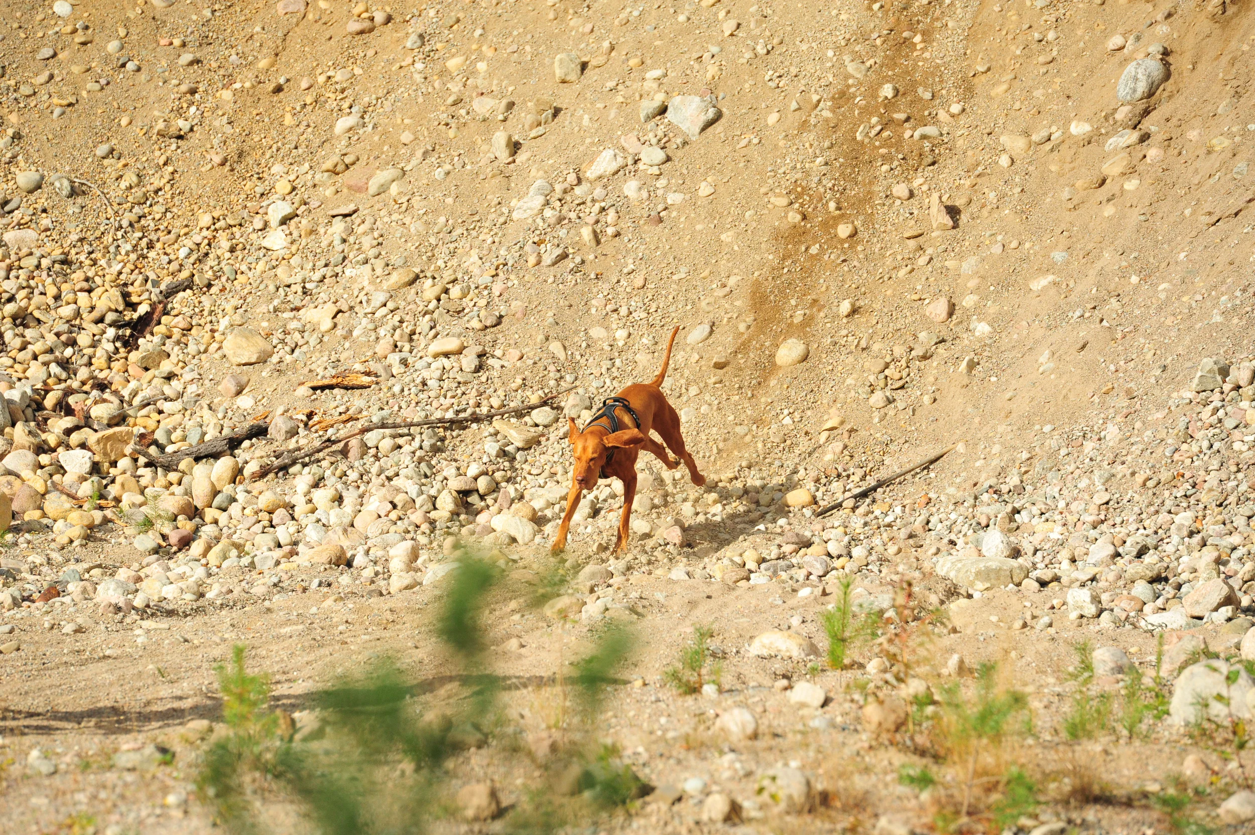 DSC_2290.webp