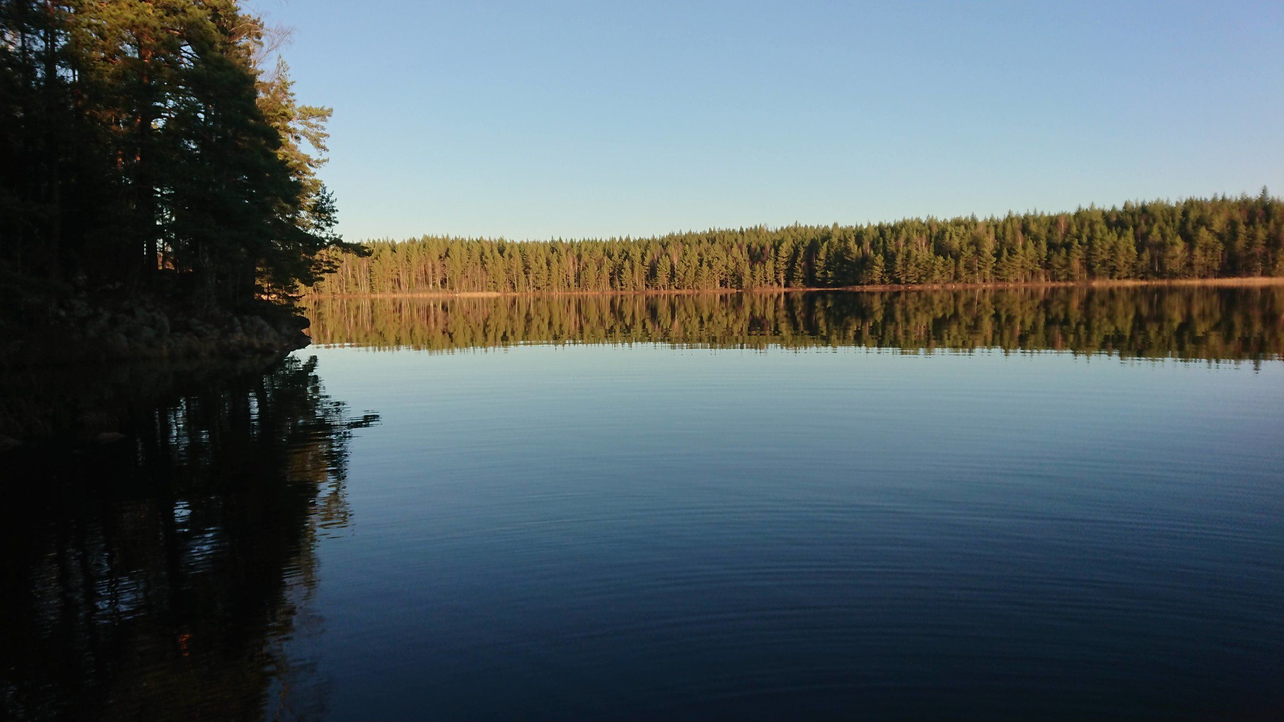 DSC_2293.JPG