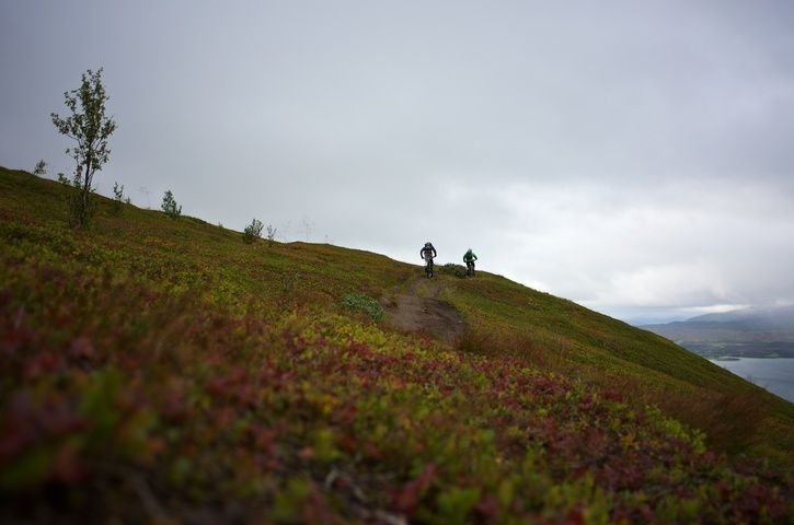 DSC_2294.jpg