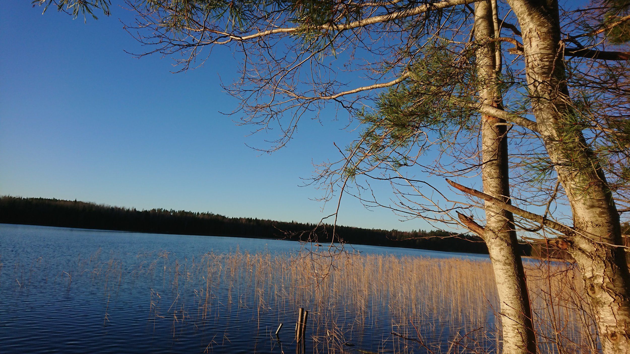DSC_2298.jpg