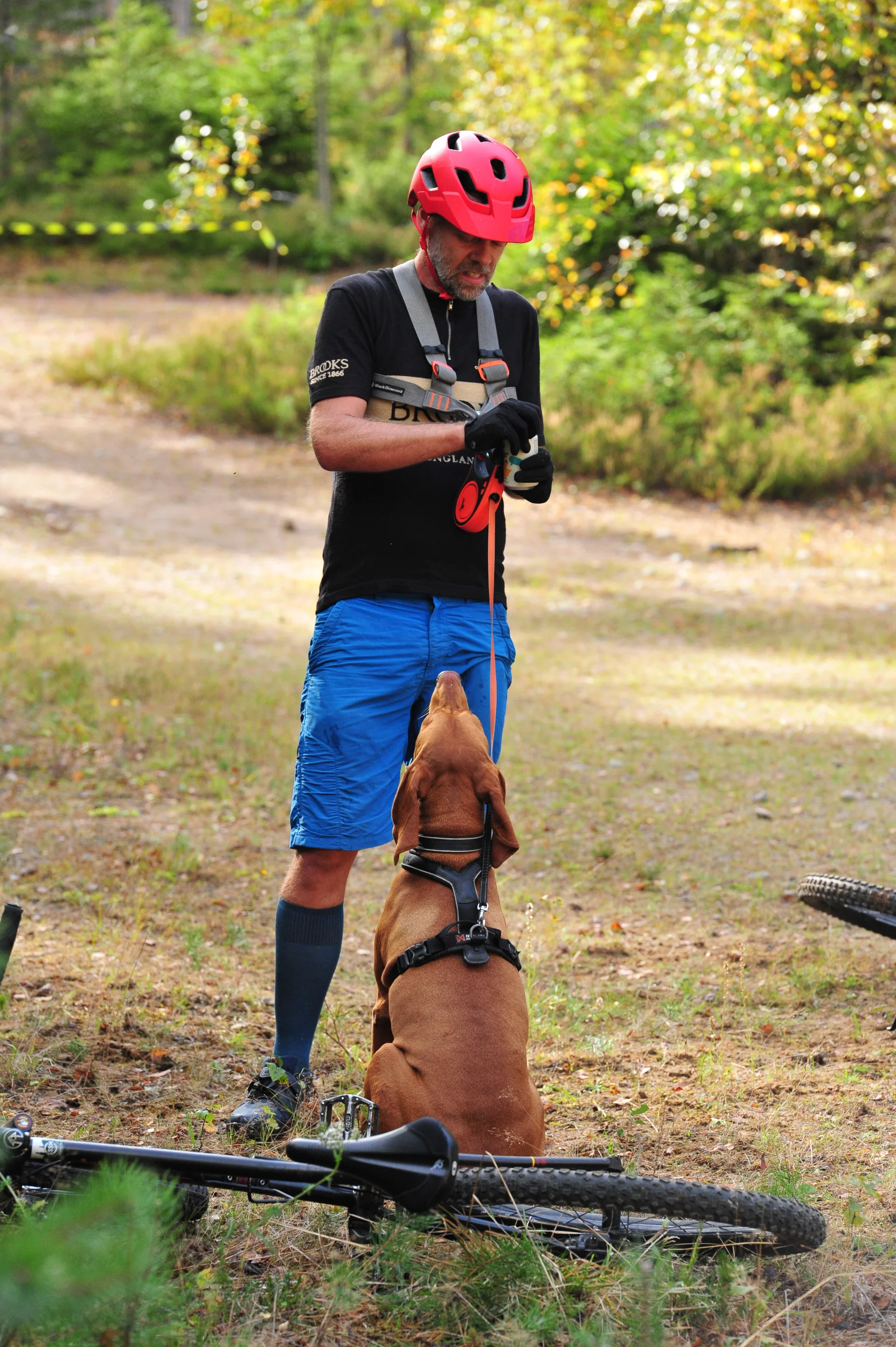DSC_2309.webp