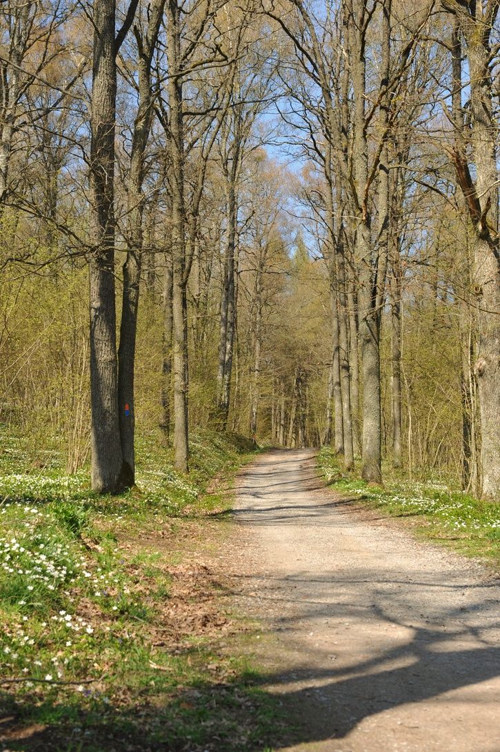 DSC_2312.JPG