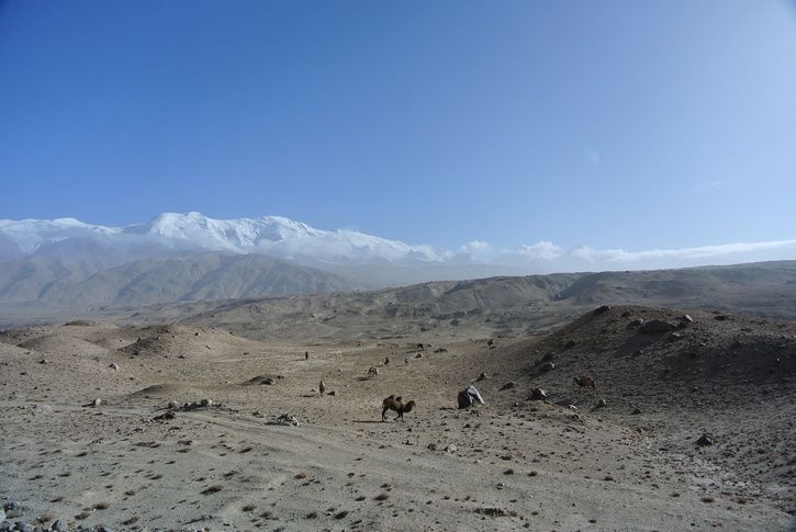 DSC_2312.JPG