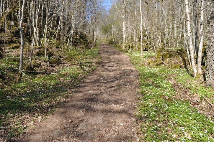 DSC_2332.JPG
