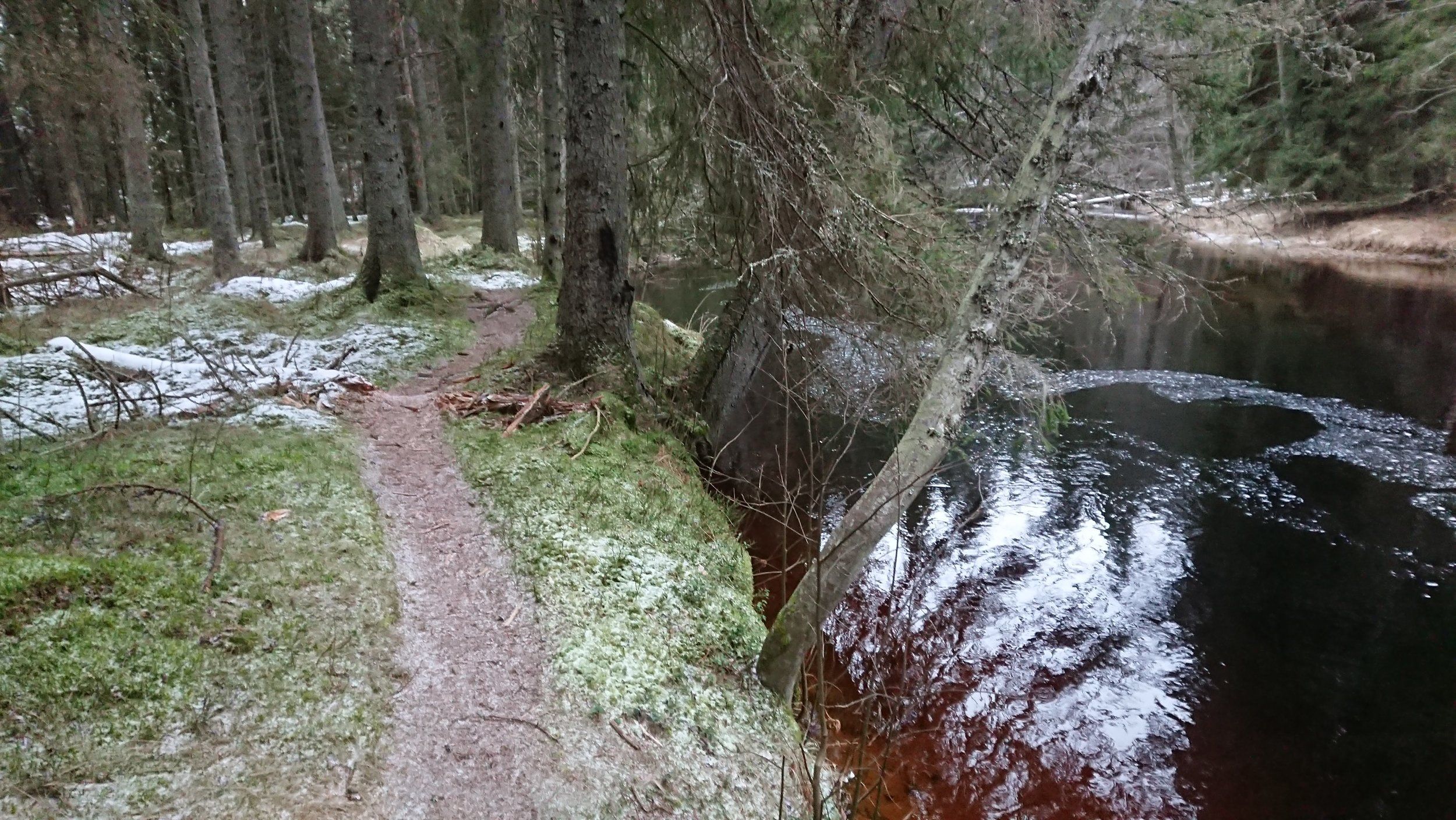 DSC_2335.jpg