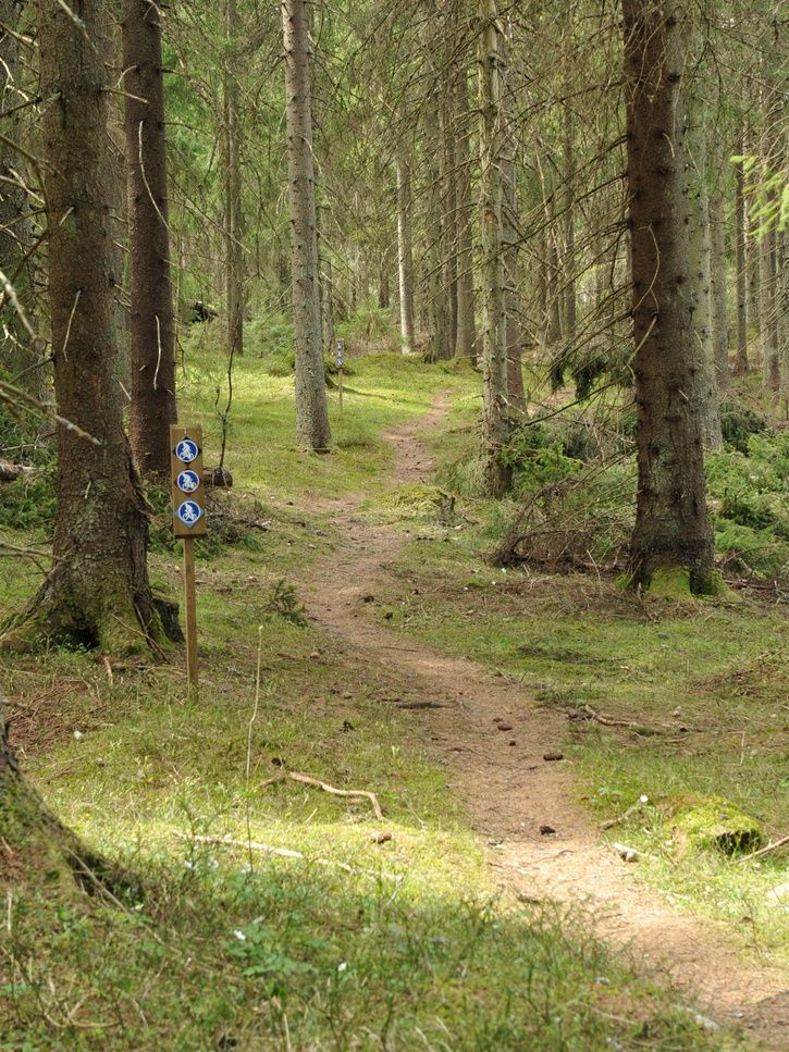 DSC_2369.JPG