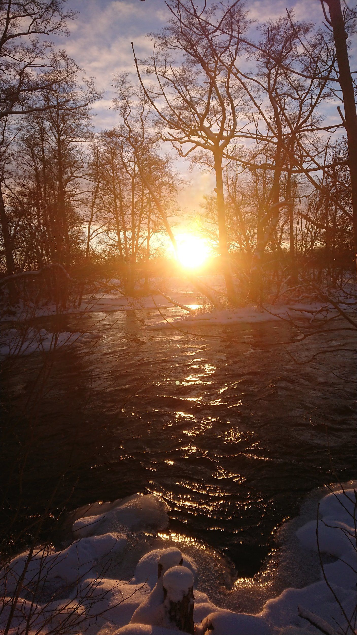 DSC_2384.JPG