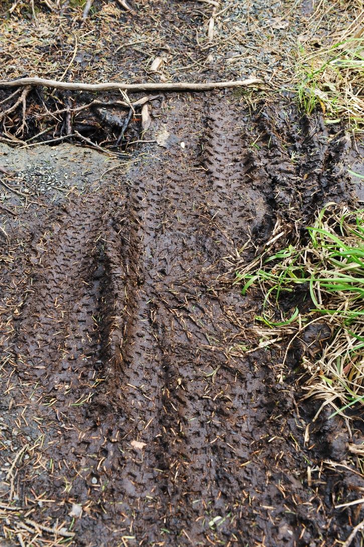 DSC_2394.JPG