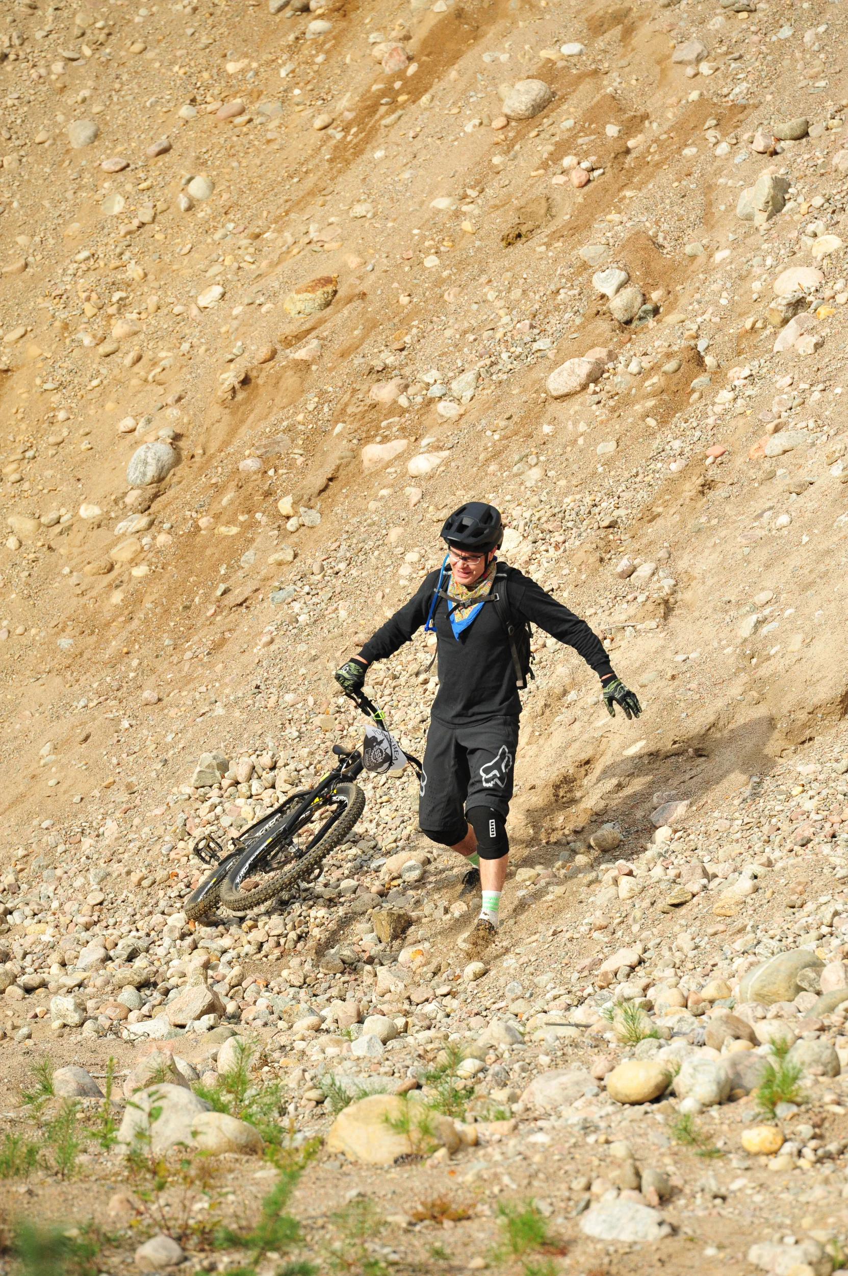 DSC_2395.webp