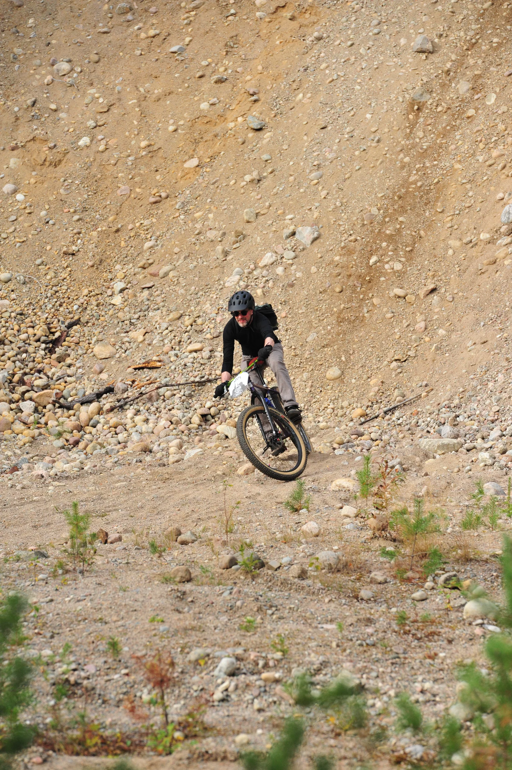 DSC_2474.webp