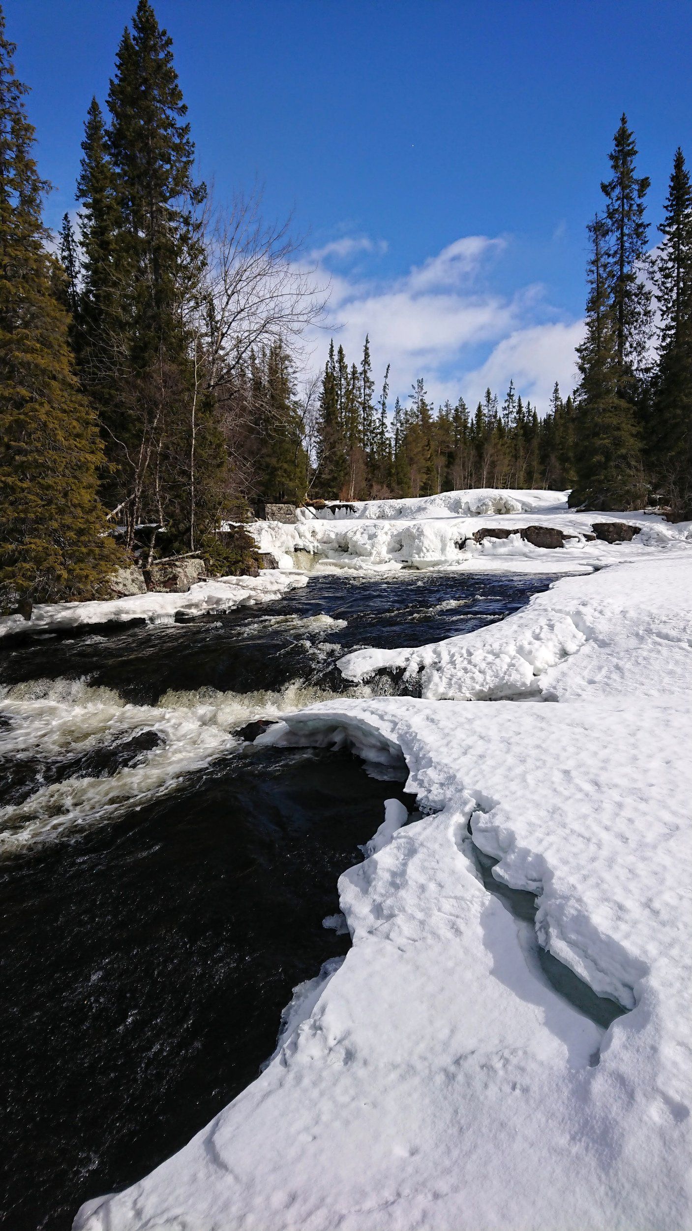 DSC_2489.JPG