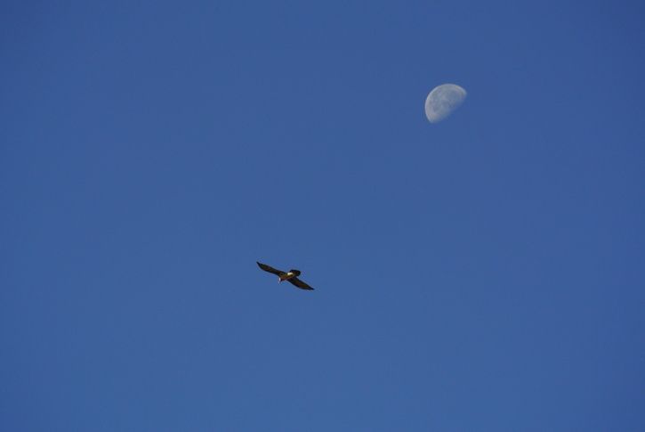 DSC_2500.JPG