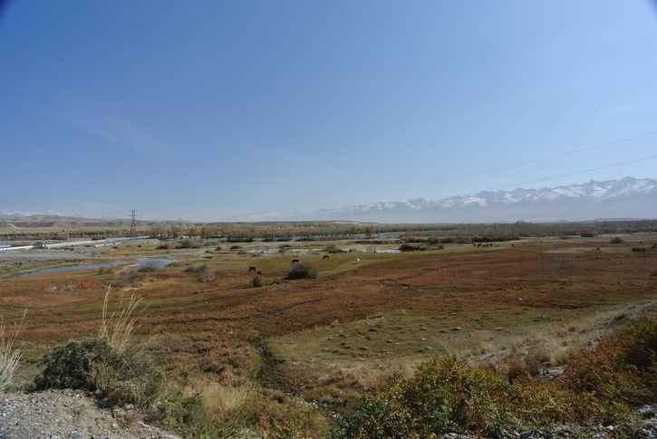 DSC_2541.JPG