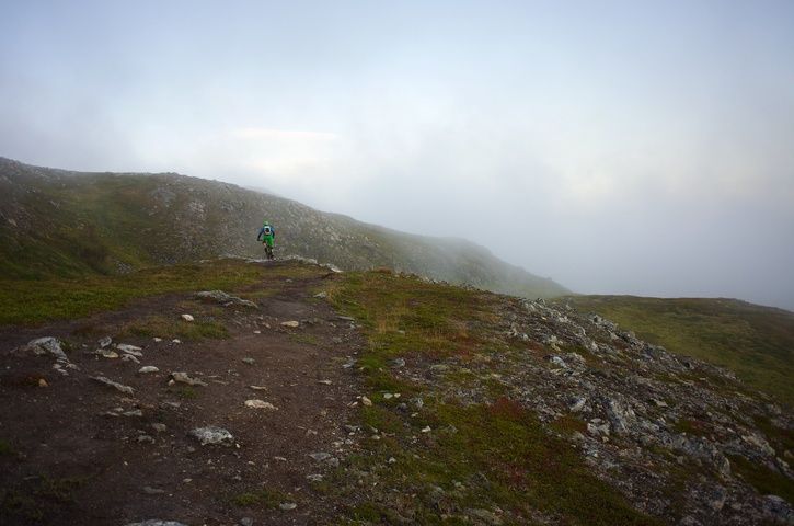 DSC_2566.jpg