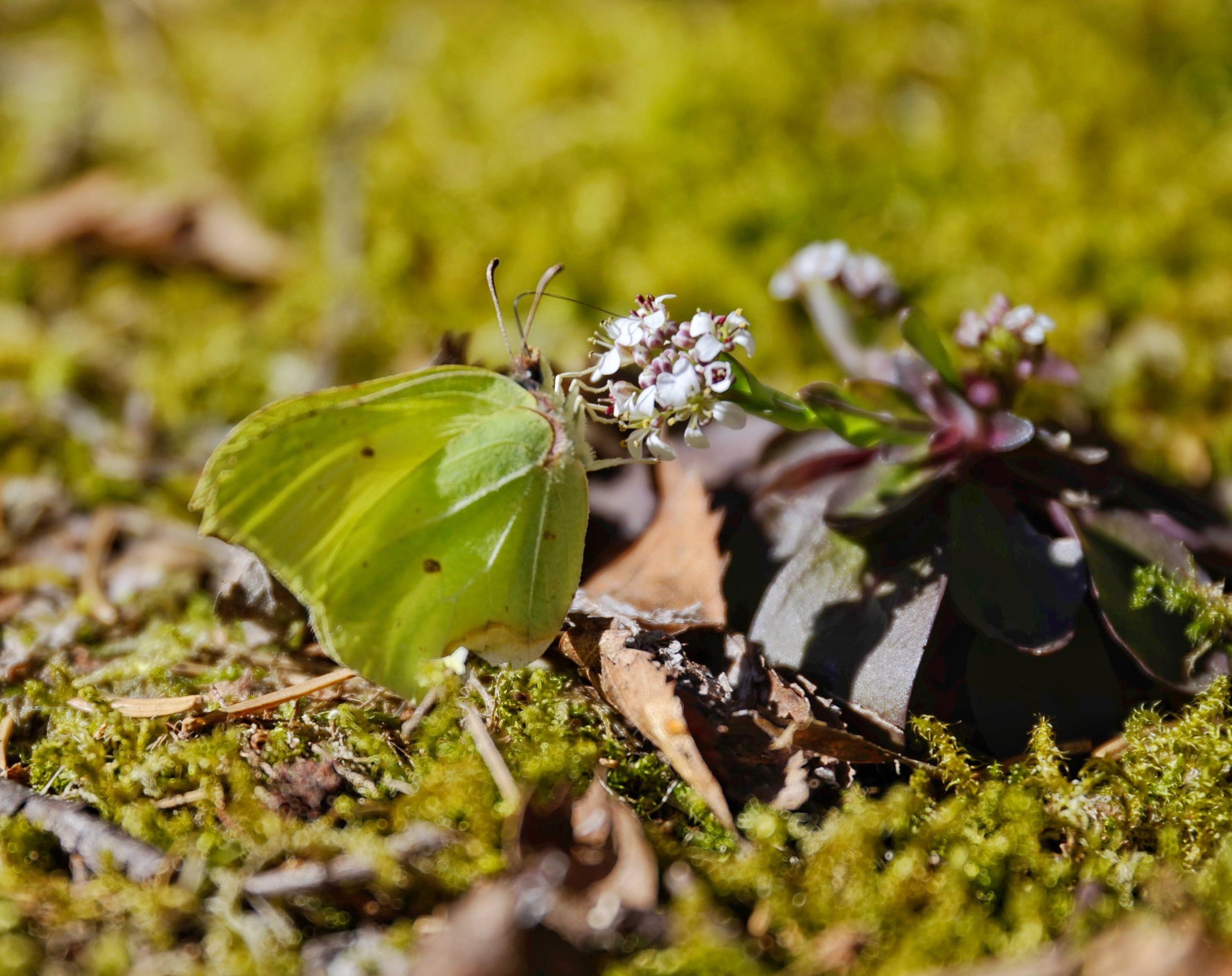 DSC_3103-01.jpeg