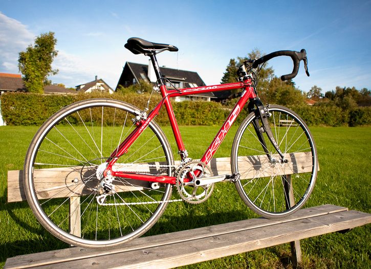 DSC_3117-3.jpg ht=526