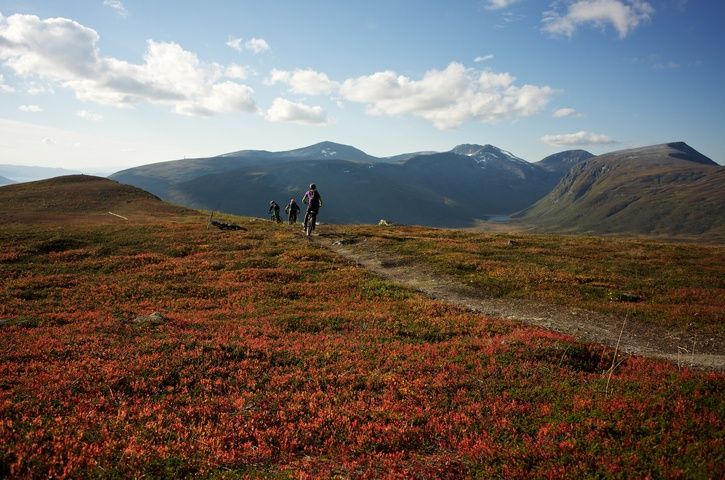 DSC_3196.jpg